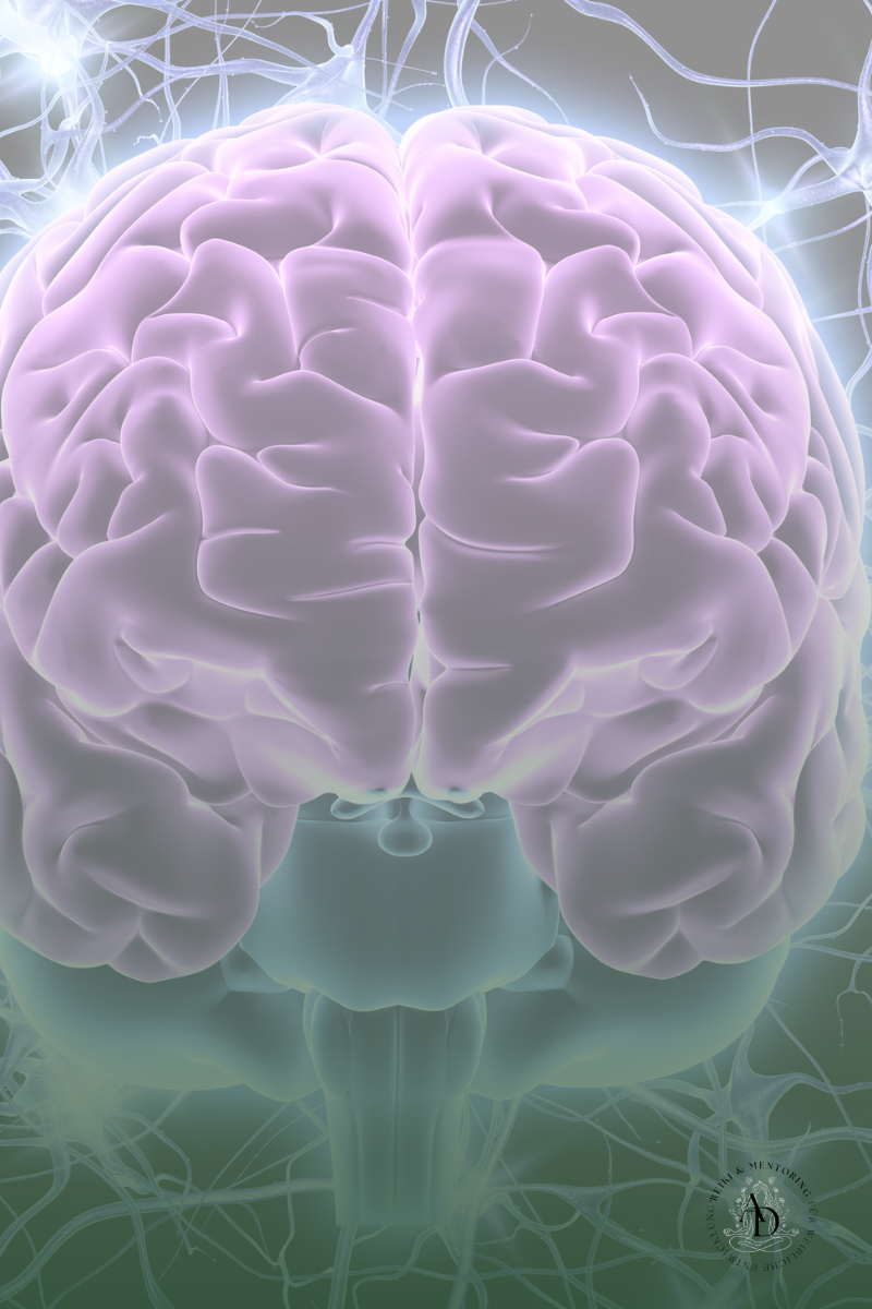 Gehirn mit Nervenbahnen - Nervensystem im Überlebensmodus